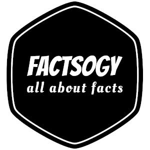 Factsogy Logo